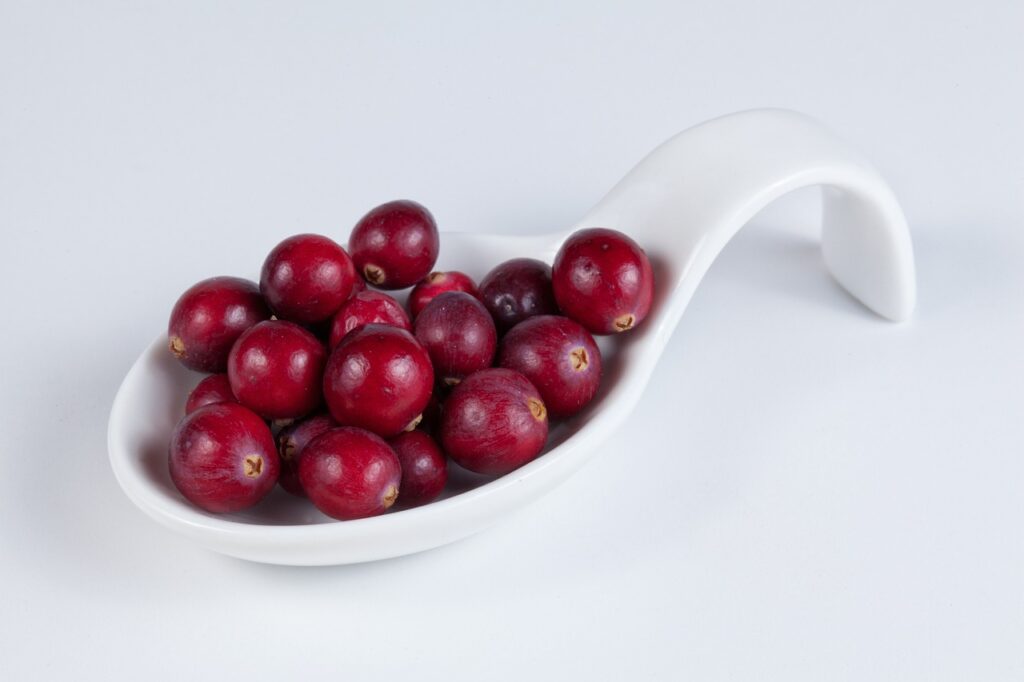 cranberry, berries, harvest-5675652.jpg