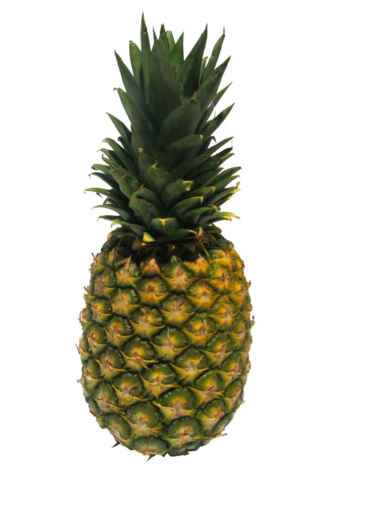 fruit, pineapple, quite-1477009.jpg