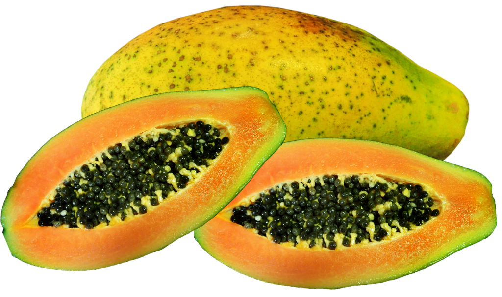 fruit, red papaya, tropical-3717773.jpg