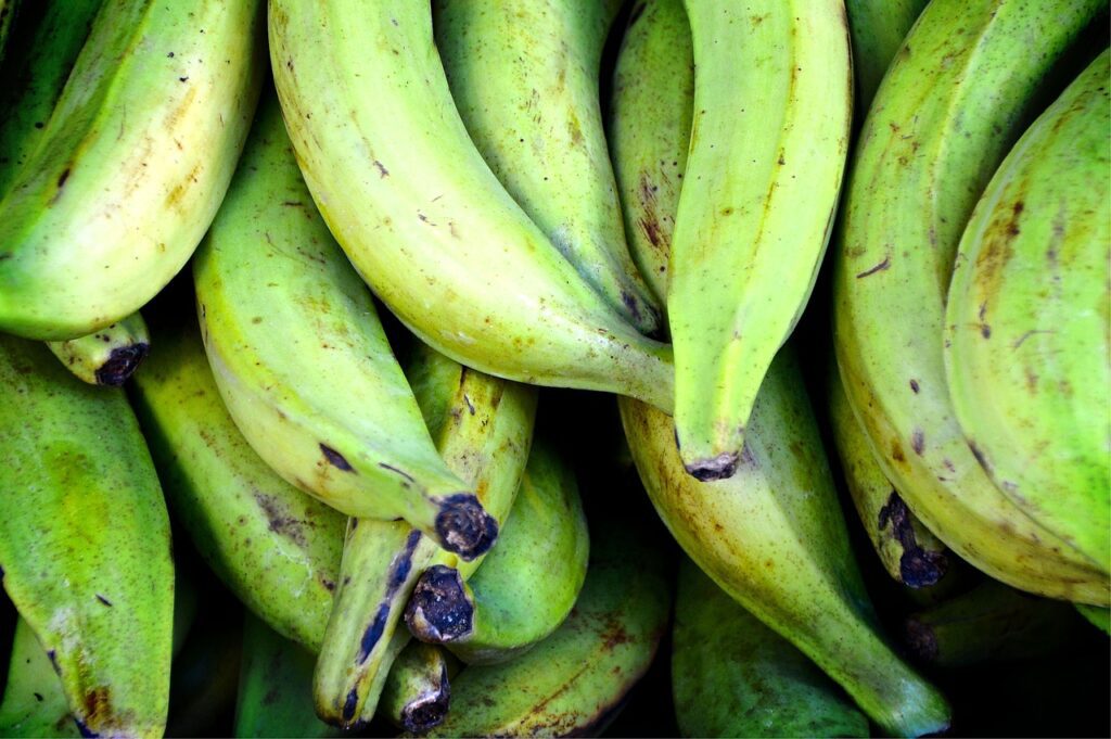 plantains, bananas, green-1583222.jpg