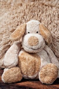 stuffed animal, teddy, teddy bear-1053580.jpg