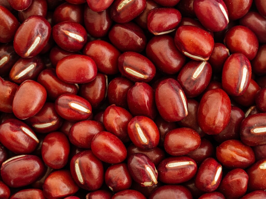 bean, leguminous plant, adzuki-5178460.jpg