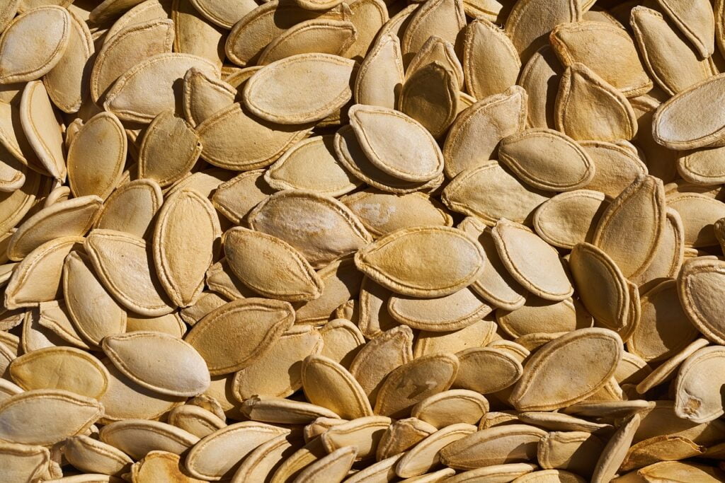 pumpkin seeds, seed, pumpkin-2728888.jpg