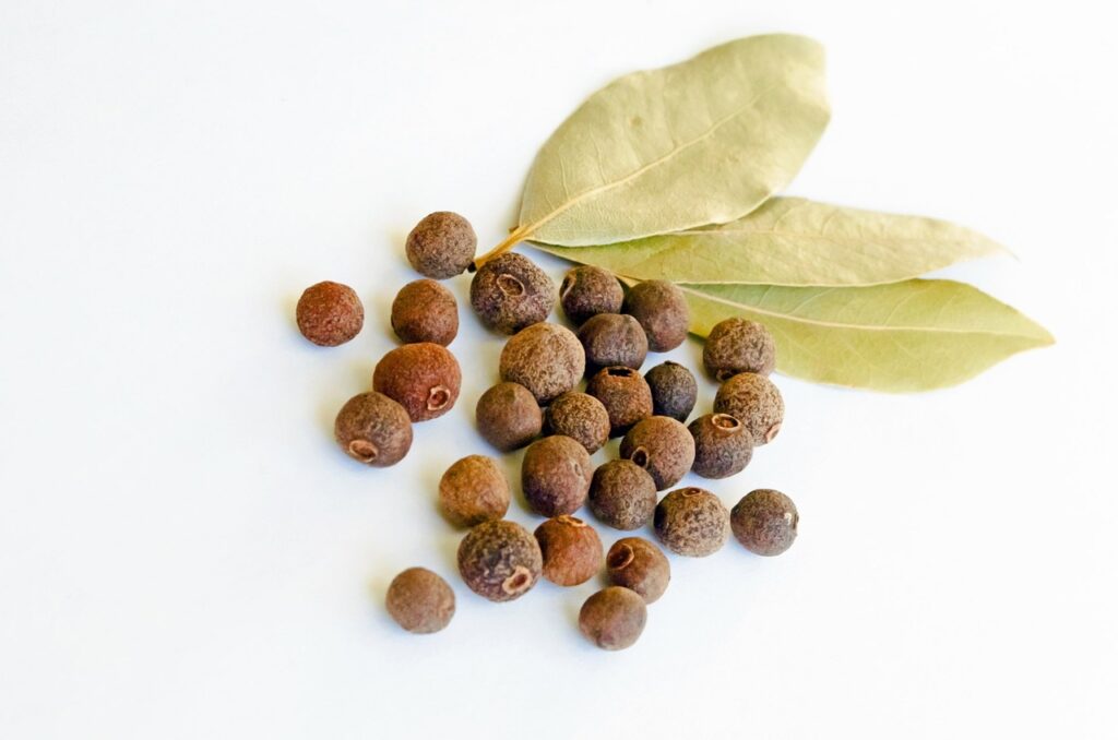 allspice, aromatic, bay-leaf-163879.jpg