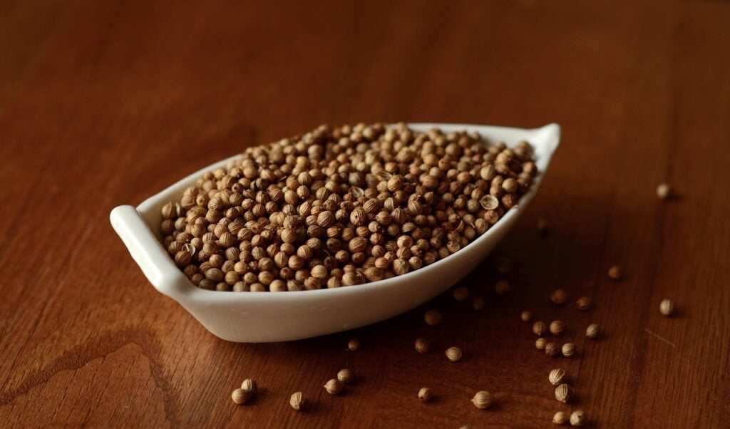 coriander, spice, condiment-5749130.jpg