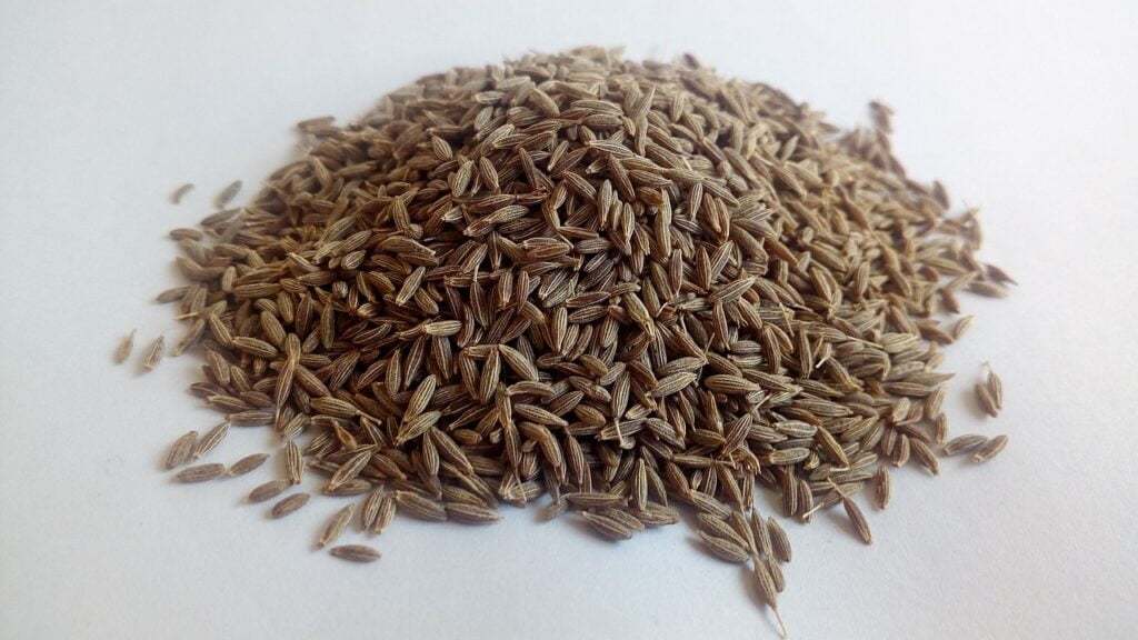 cumin, white cumin, herbs-5377177.jpg