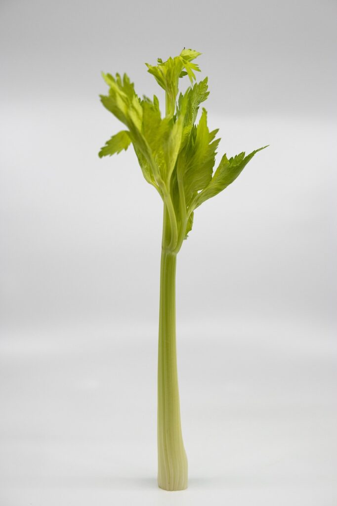 celery, stalk, vegetable-3821260.jpg