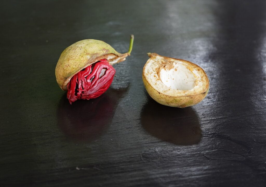 nutmeg, seasoning, fruit-7393061.jpg