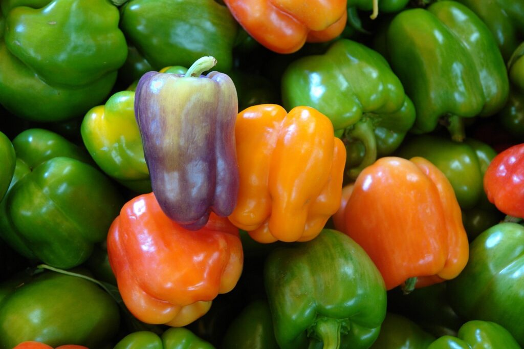 peppers, green, red-662505.jpg