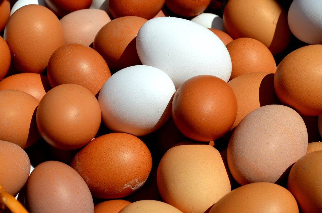 egg, eggs, hen's egg-2580904.jpg