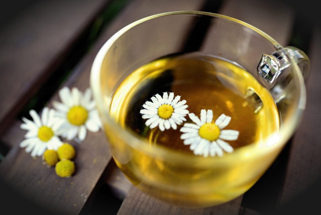 tea, chamomile, drink-6597699.jpg