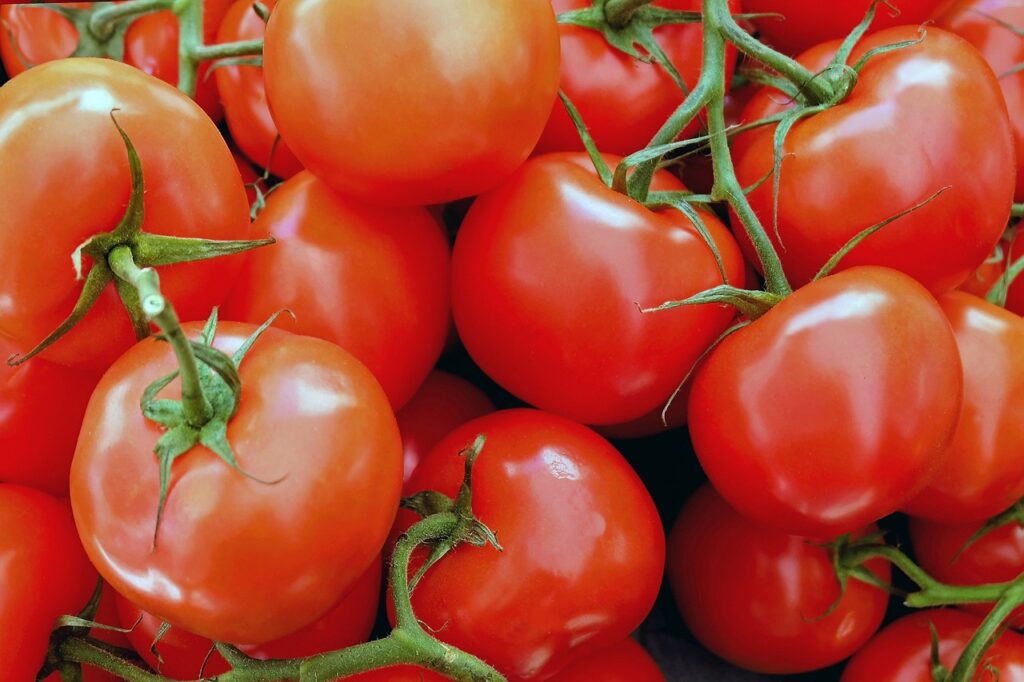 tomatoes, vegetables, red-1263086.jpg